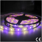 Tira LED 5 mts Flexible 72W 300 Led SMD 5050 IP20 RGB+W Blanco Frío Alta Luminosidad